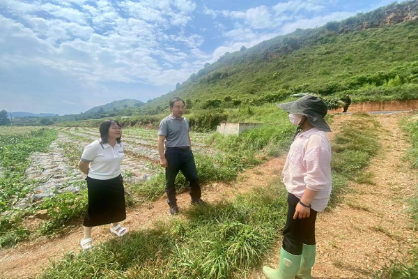 3、玉溪计生协到通海县调研项目推进情况1.png