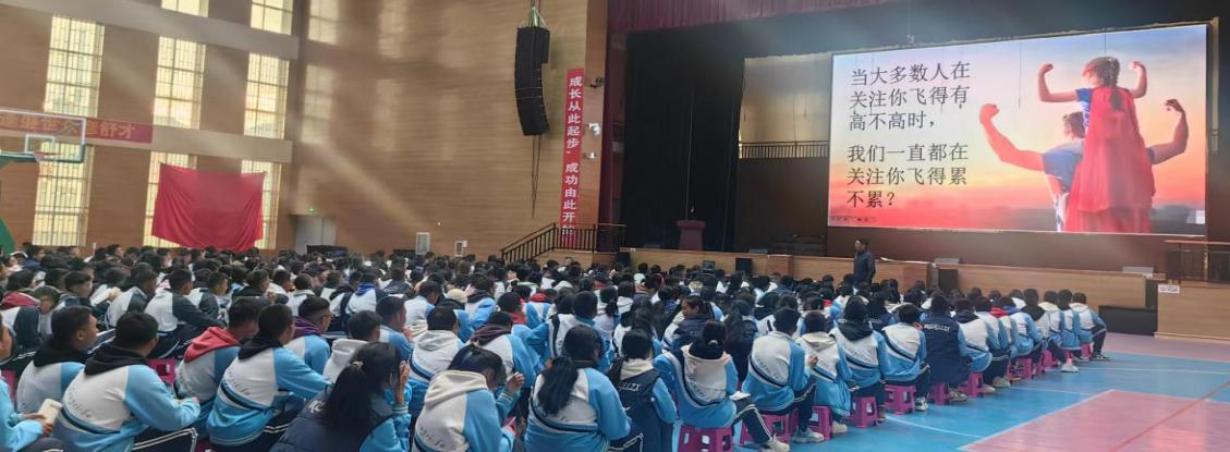 图片50.png