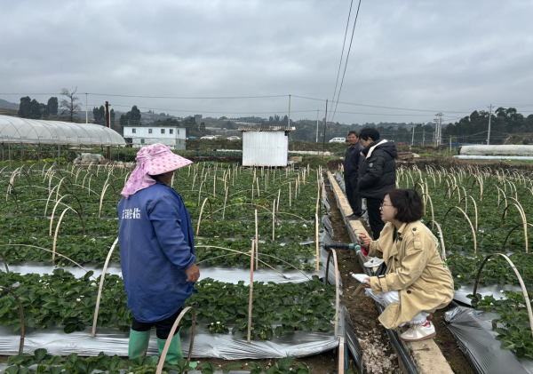 玉溪市江川区计生协开展市级计划生育帮扶基金第九轮项目中期评估1.png