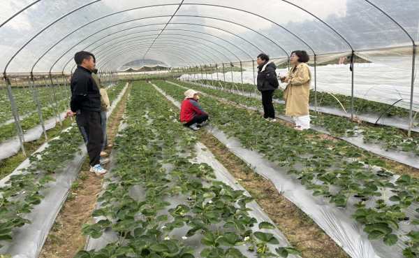 玉溪市江川区计生协开展市级计划生育帮扶基金第九轮项目中期评估2.png