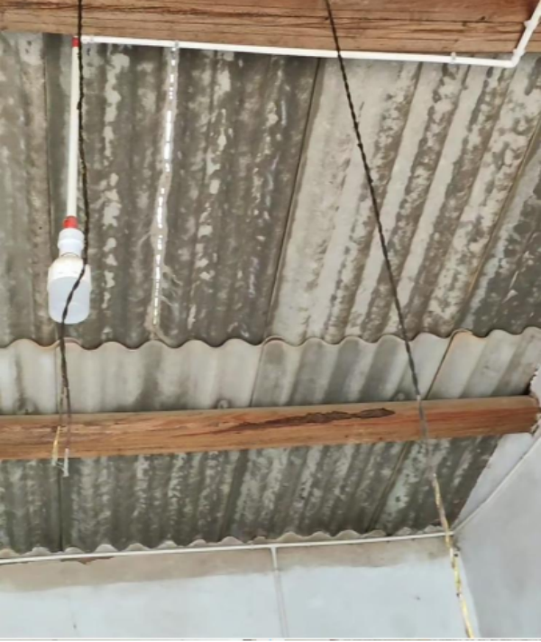 玉溪市易门县计生协协调帮助计生特殊家庭解决生活困难1.png
