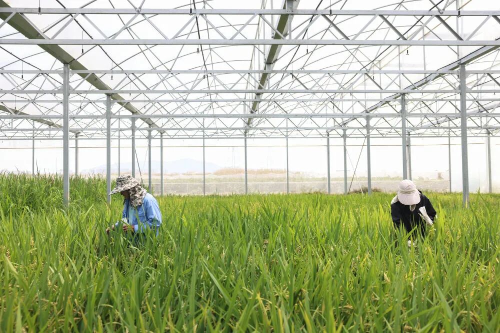 蓝图已经绘就 奋进正当其时4.jpg