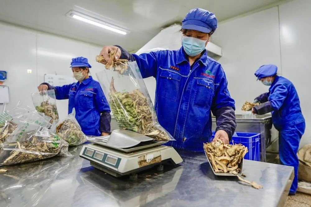 蓝图已经绘就 奋进正当其时6.jpg