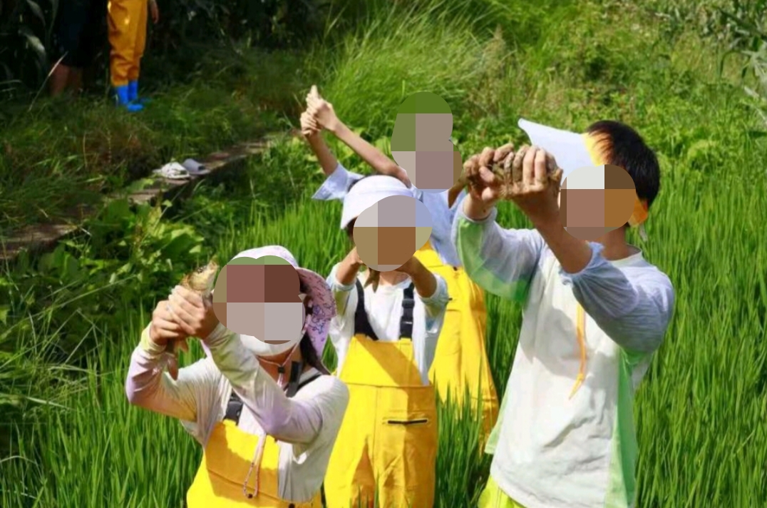 微信图片_20260924153435_688_61.jpg